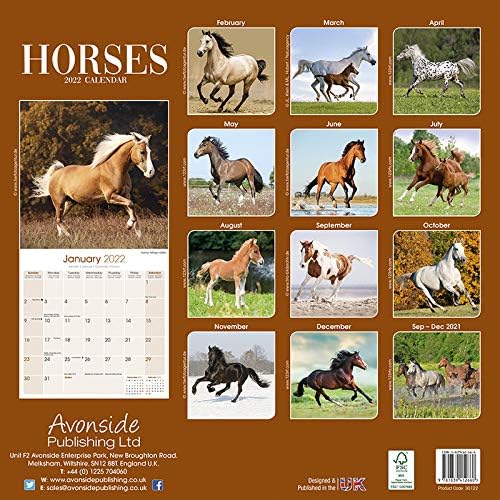 Calendrier 2023 Chevaux Calendrier 2022 Chevaux - Cheval - Equitation - Cheval Arabe (Tn) + Offert  Un Agenda De Poche 2022 : Amazon.fr: Fournitures De Bureau