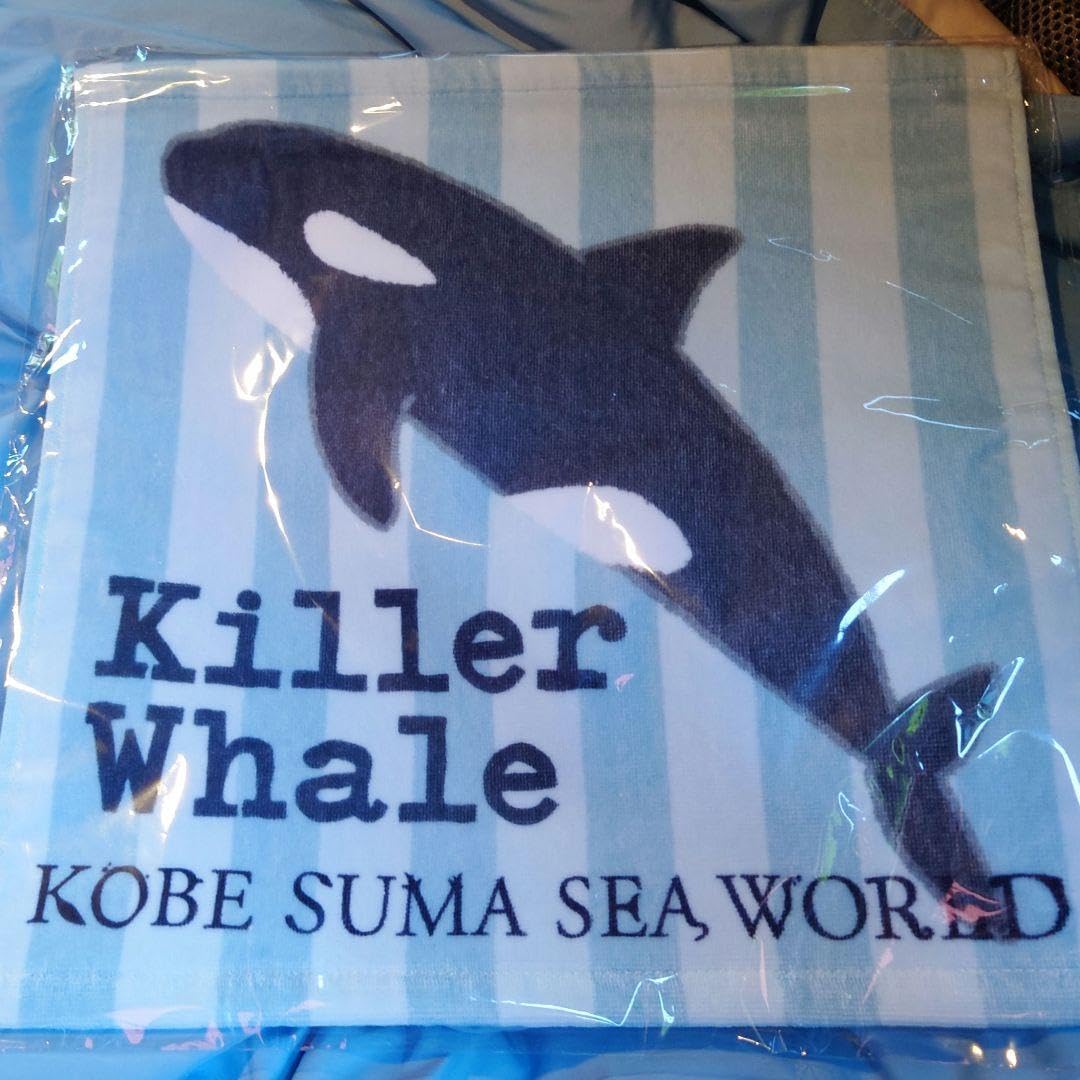 Amazon.co.jp: シャチ タオル 須磨シーワールド限定 : ホーム＆キッチン