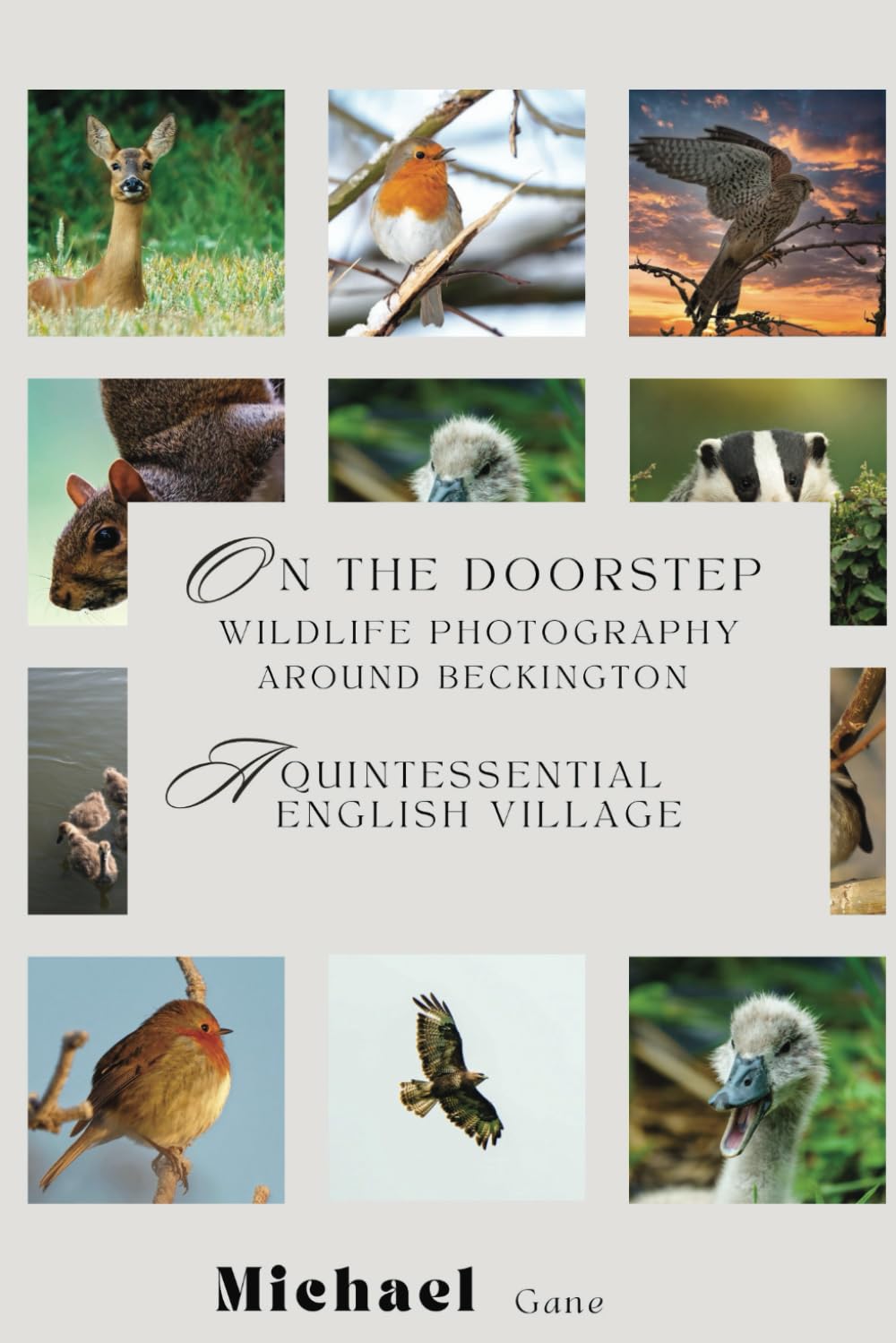 On the Doorstep: Wildlife Photography around Beckington: A quintessential English Village: Wildlife Photography in the English Countryside