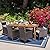 Christopher Knight Home Matthew Outdoor 7 Piece Multibrown Wicker Set with Teak Finish Rectangular Acacia Wood Dining Table and Beige Water Resistant Cushions