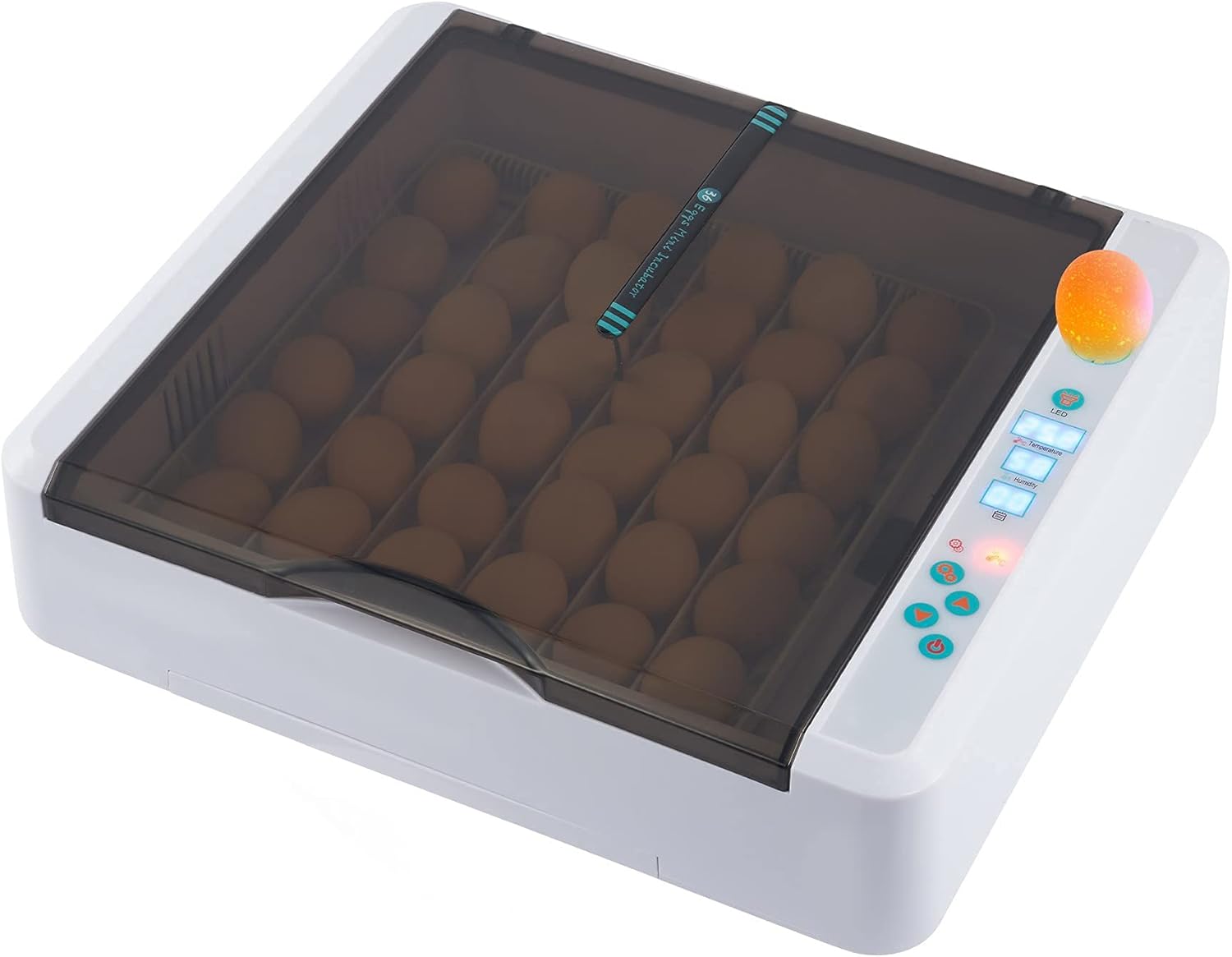 36 Eggs Incubator Digital Clear Poultry Hatching Machine Temperature