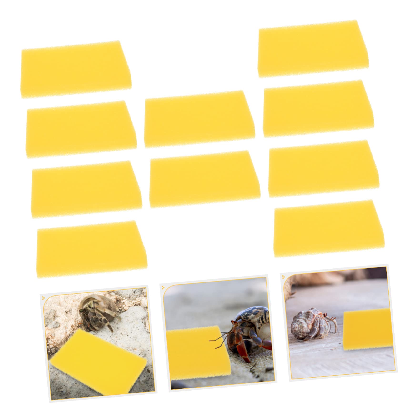 20piezas Esponjas Bioquímicas De Algodón para De Esponjas Absorbentes para Filtración y Terrarios y Peceras Diseño De Color