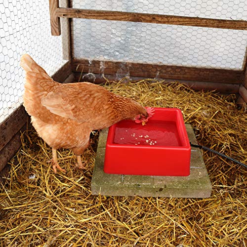 Farm Innovators Inc. D-19 1-1/4-Gallon Heated Water Bowl thumb #1
