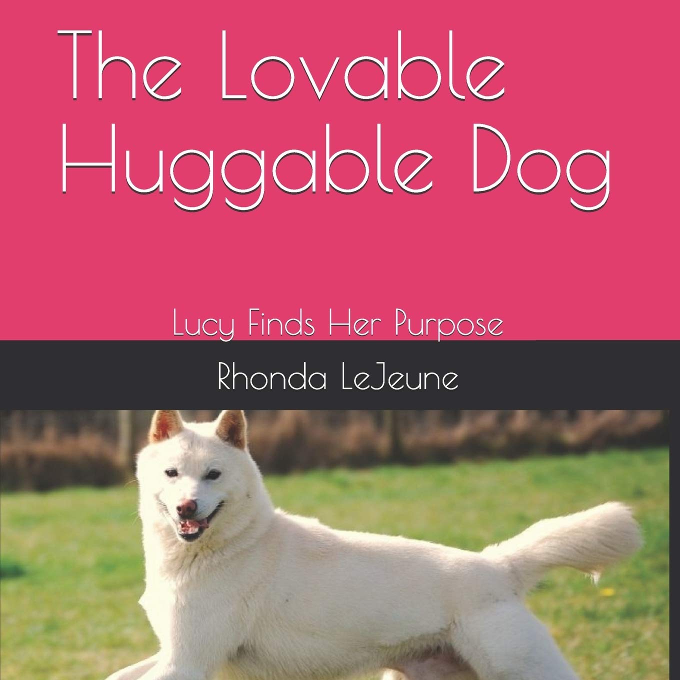 The Lovable Huggable Dog: Lucy Finds Her Purpose