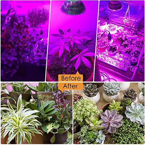100W Led Grow Light Bulb, Full Spectrum Plant Lights for Indoor Plants Hydroponics, Flowers, Vegetables, (E26/E27 150LEDs)