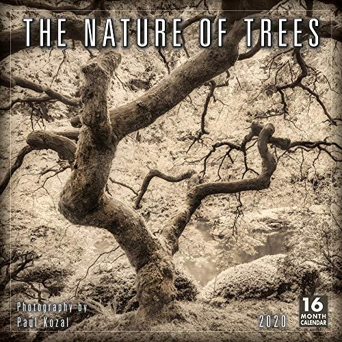 2020 Calendar: The Nature of Trees 2020 Wall Calendar