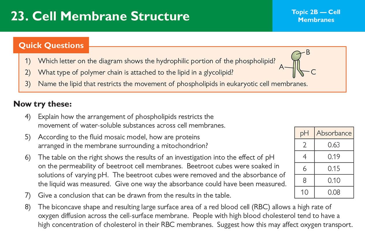 A-Level Biology AQA Revision Question Cards: for the 2025 and 2026 exams (CGP AQA A-Level Biology) 5 61l3wtzGklL. SL1264