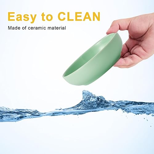 Miniatura 6 de Howise - Juego de cuencos de cerámica para gatos de 5.3 pulgadas, cuenco de comida poco profundo para mascotas pequeñas, plato para comida y agua,