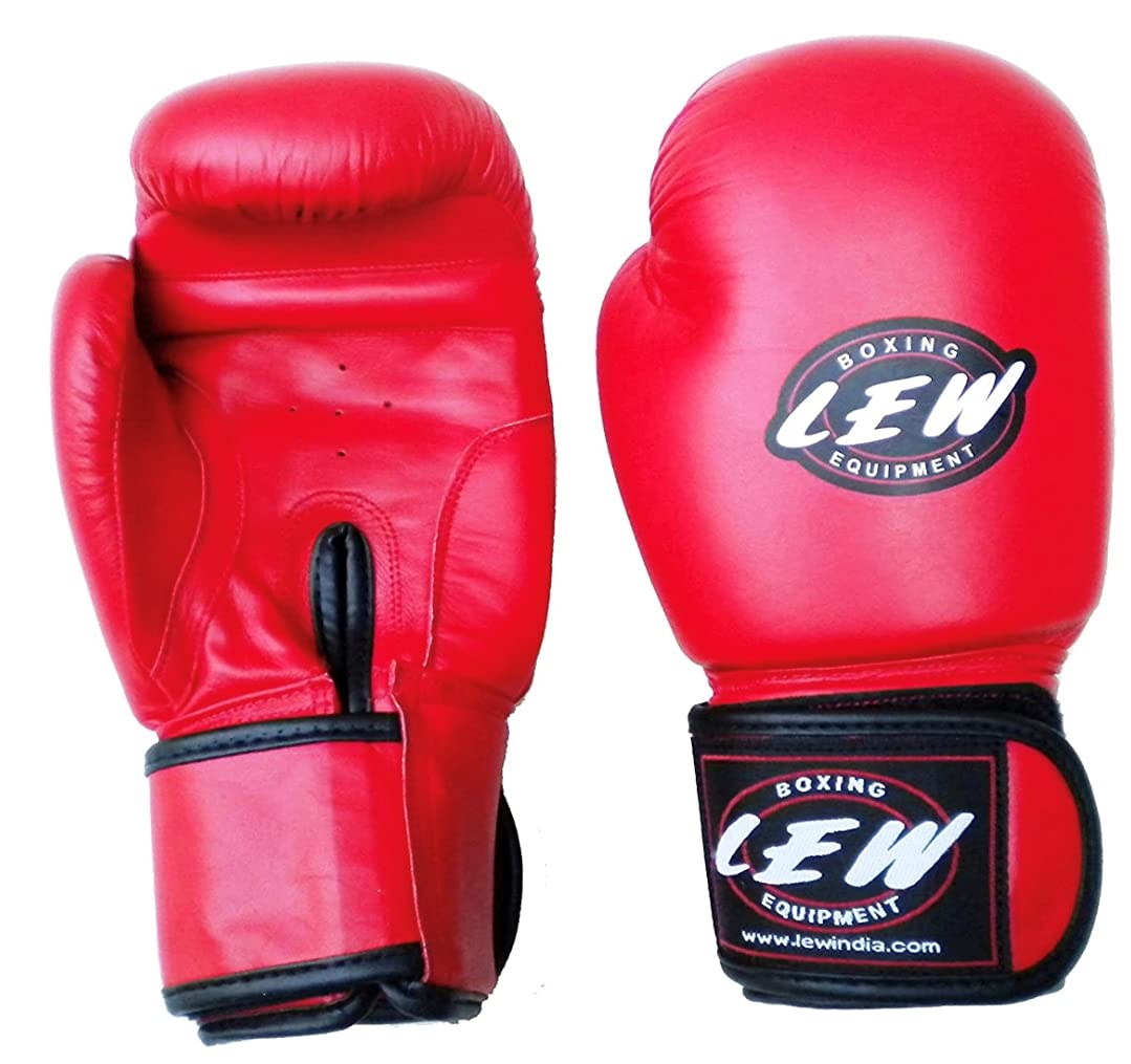 LEW Competition/Safe Pro Fight Boxing Gloves (B00OBDUDHW) Amazon Price History, Amazon Price Tracker