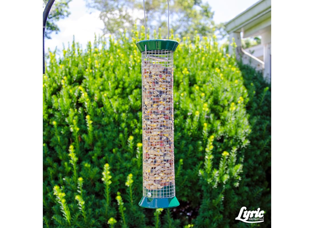 Lyric Fruit & Nut High Energy Wild Bird Mix