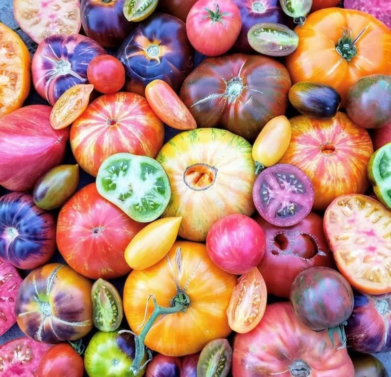 Exotic Heirloom Tomato Seeds, 25 Count, Rare Variety Pack by Exotic-Succulent-Collection