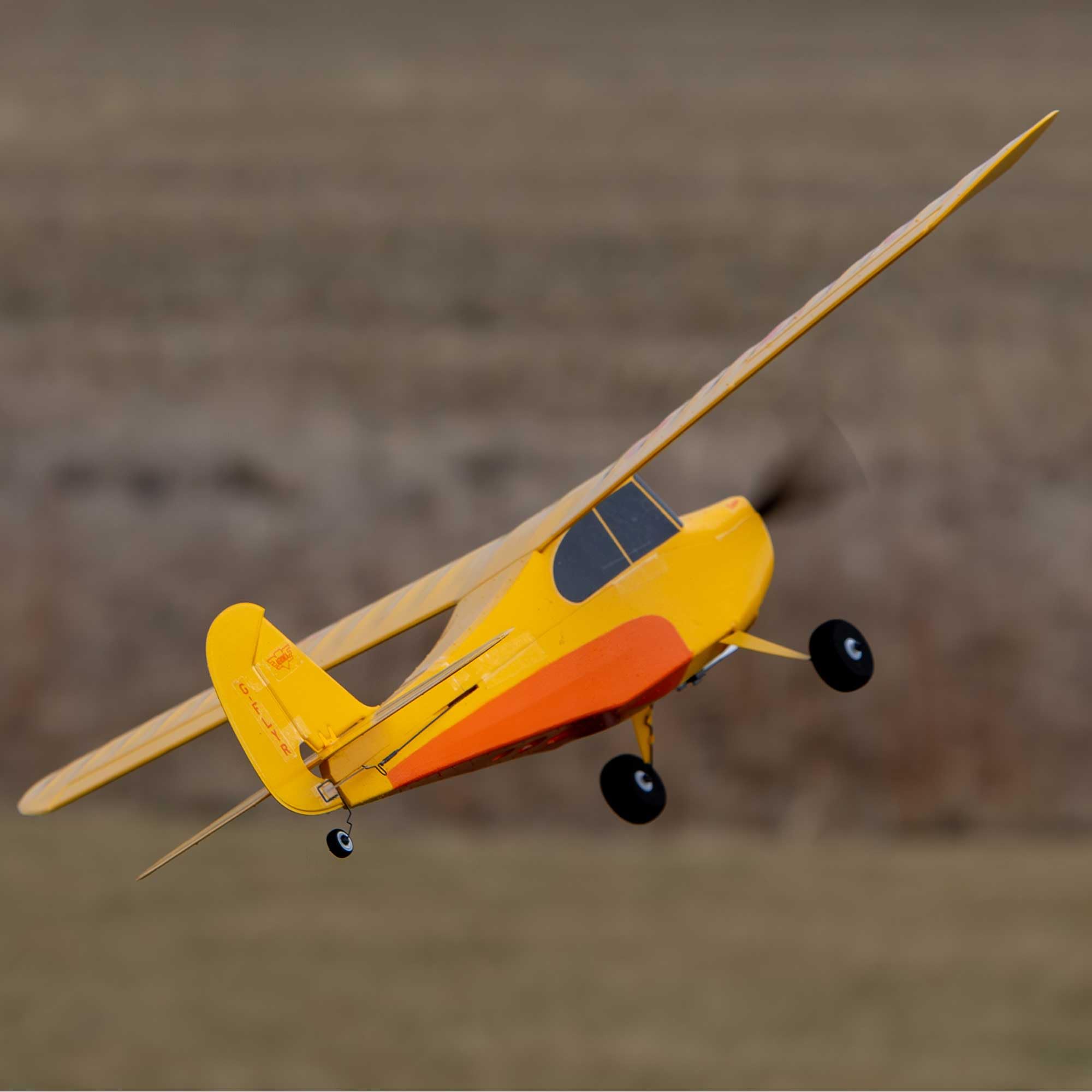 HobbyZone Champ Anniversary Special Edition 515 mm - BNF Basic mit Safe-Technologie - 15 Jahre Champ / 25 Jahre HobbyZone / 40 Jahre Horizon Hobby - EPS‑Microtrainer (ohne Fernsteuerung & Akku)