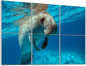6 Pack Art Acoustic Panels Self Adhesive Dugongo Sea Cow Marsa Alam Decorative Soundproof Wall Panels Sound Absorbing Panel 48"x72" for Office Home Studio