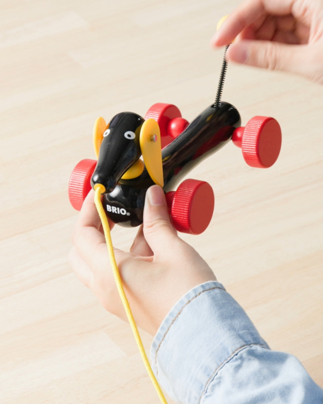 Amazon.co.jp: BRIO (ブリオ) プルトイ ダッチー 30332 対象年齢 1歳