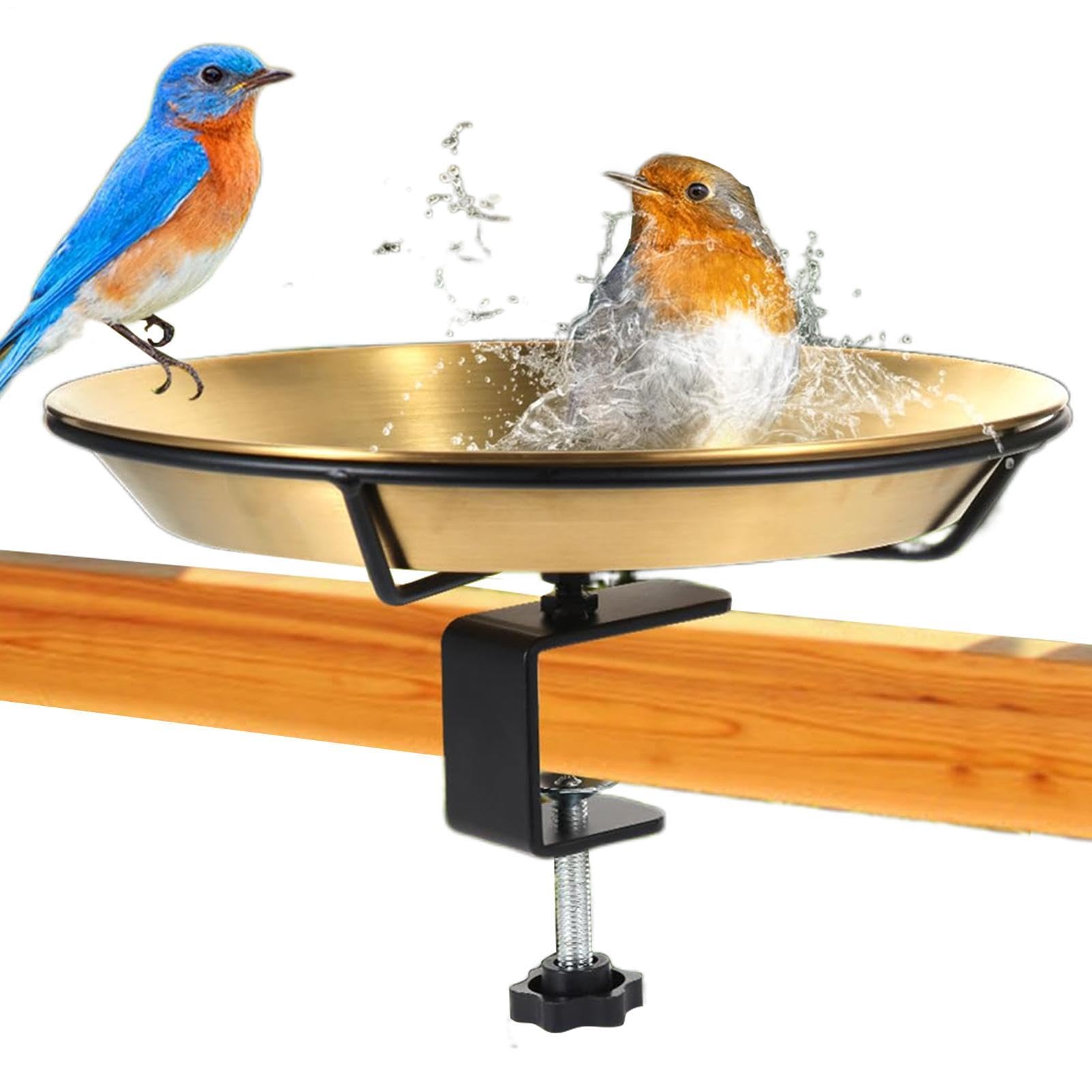 Bain d'oiseaux pour fenêtre et balcon pour observer la nature