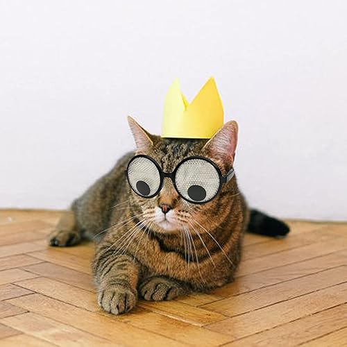 Miniatura 6 de Gafas de ojos Googly divertidas gafas de disfraces con ojos de movimiento, gafas novedosas, accesorios divertidos para fiestas