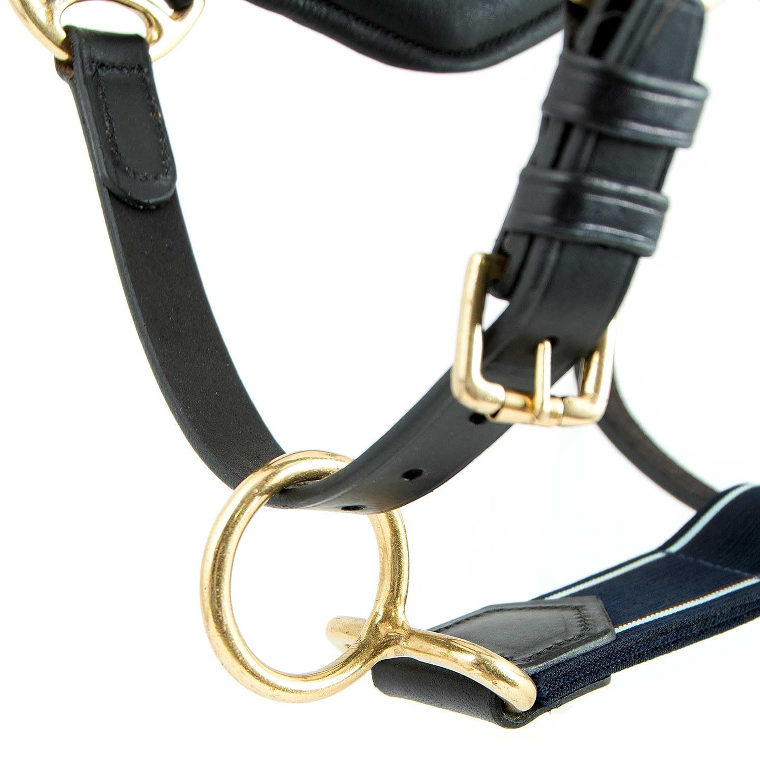 RAMBO Cabezada para Caballos Horseware Micklem