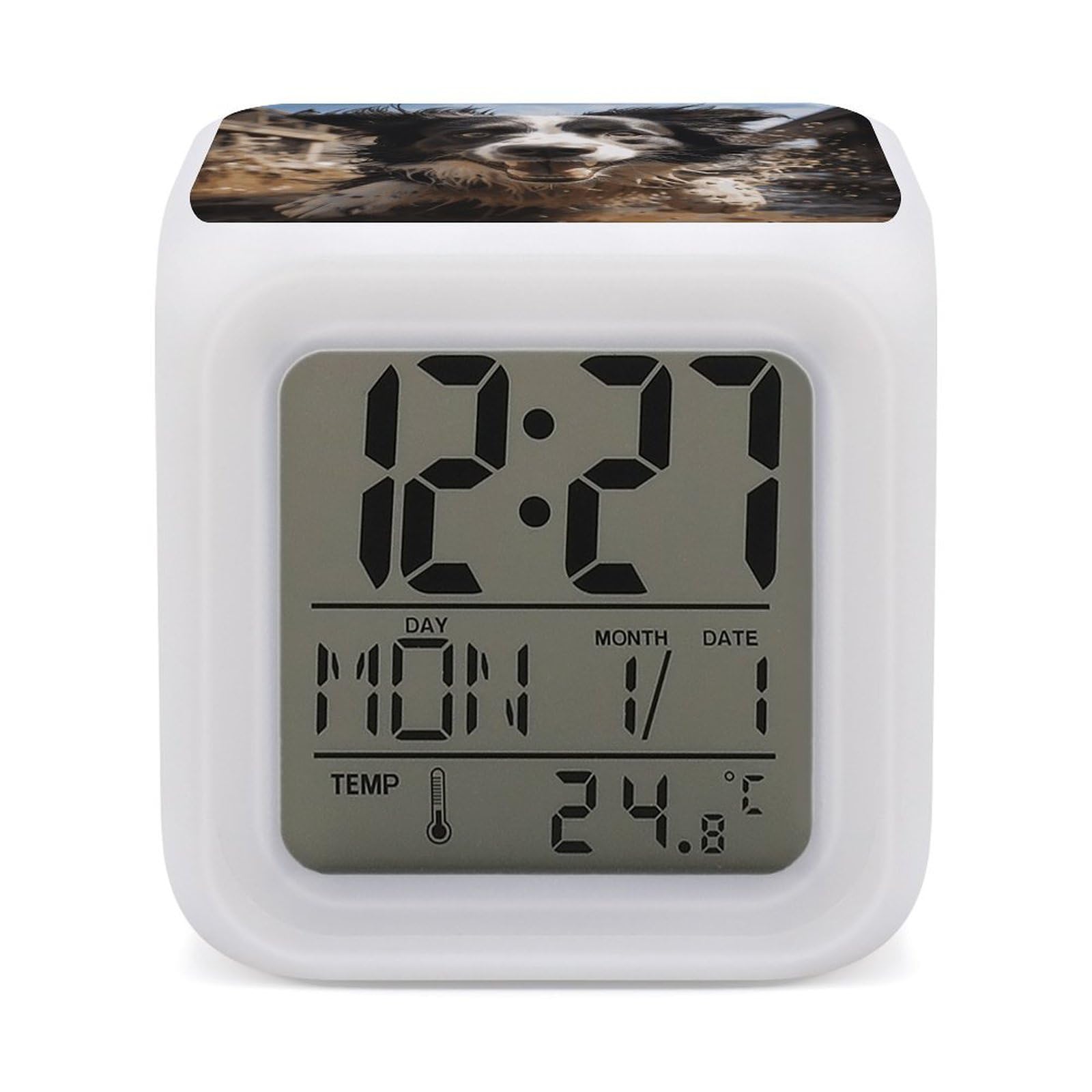 DWVTSLH Pastor Border Collie Alarm Clock with 7 Color Changing Night Light, Wake Up Digital Clock for Bedroom, Bedside Cube Clock with Date, Temperature, Battery Operated Desk Clock Gift