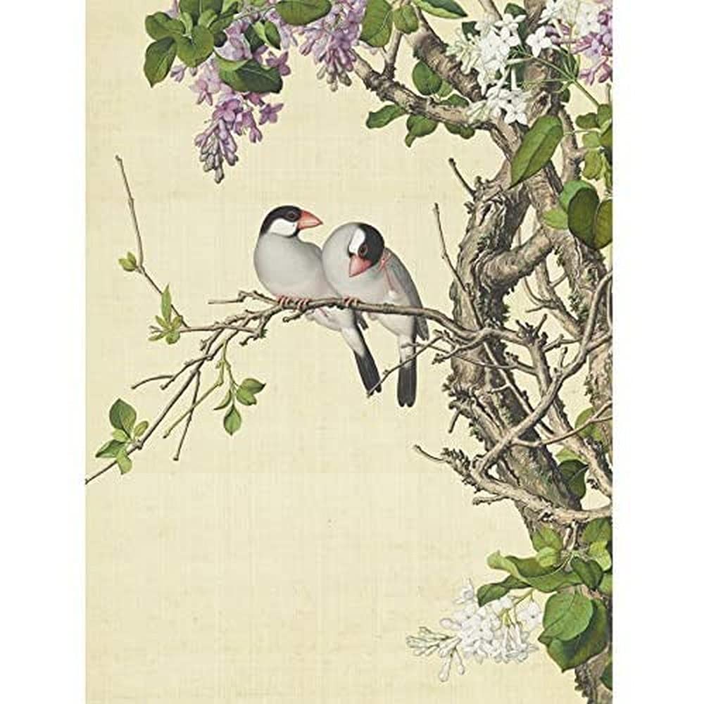 Castiglione Syringa Vögel Baum Gemälde ungerahmt Wandbild Kunstdruck Poster Home Decor Premium