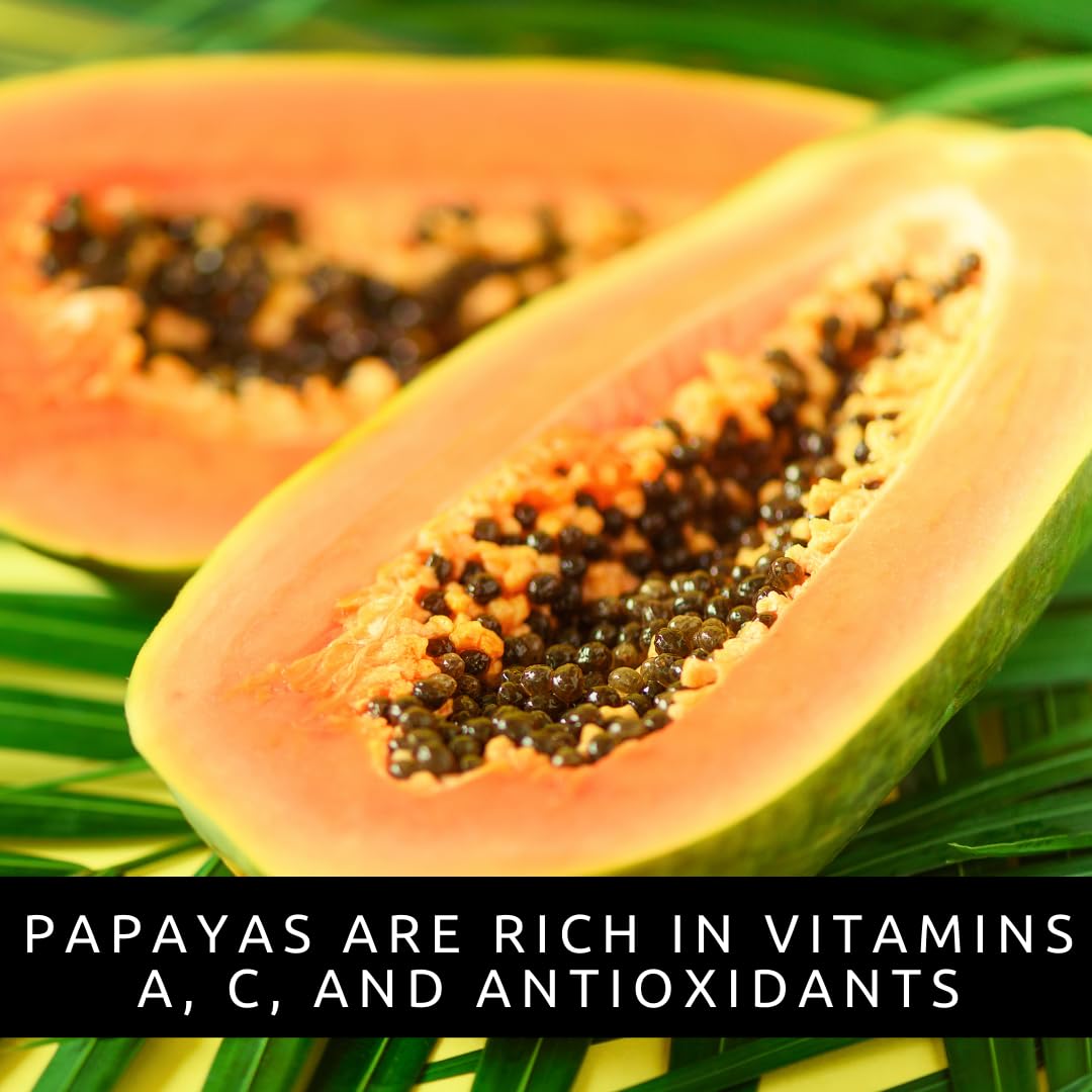 Amazon.com : 10 Papaya Tree Seeds for Planting - Papaya Seeds for Planting   Grow Your Own Tropical Fruit Tree at Home, Patio, or Garden  Non-GMO,  Fast-Growing, Edible Orange Fruits :