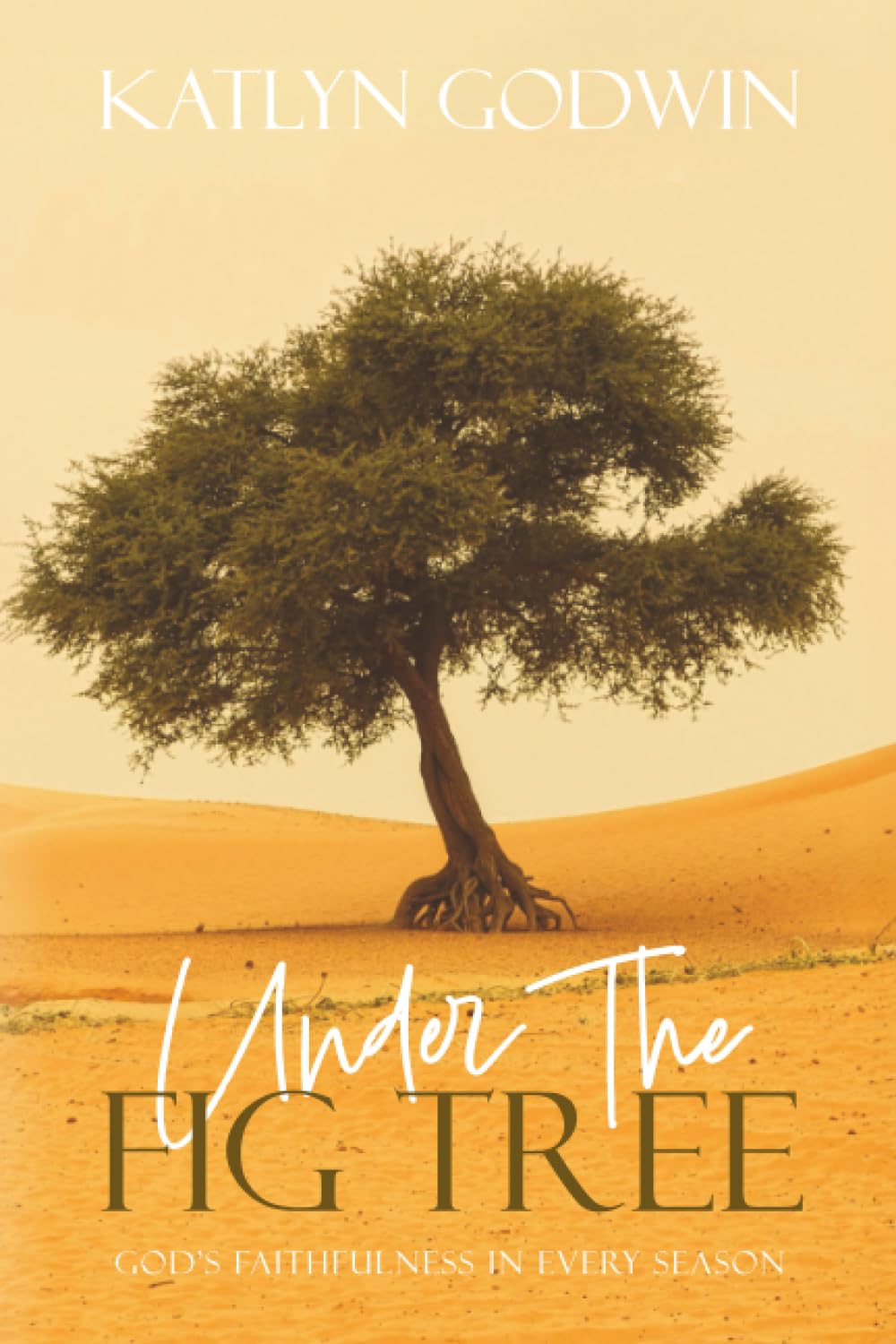 Under the Fig Tree: God's Faithfulness in Every Season