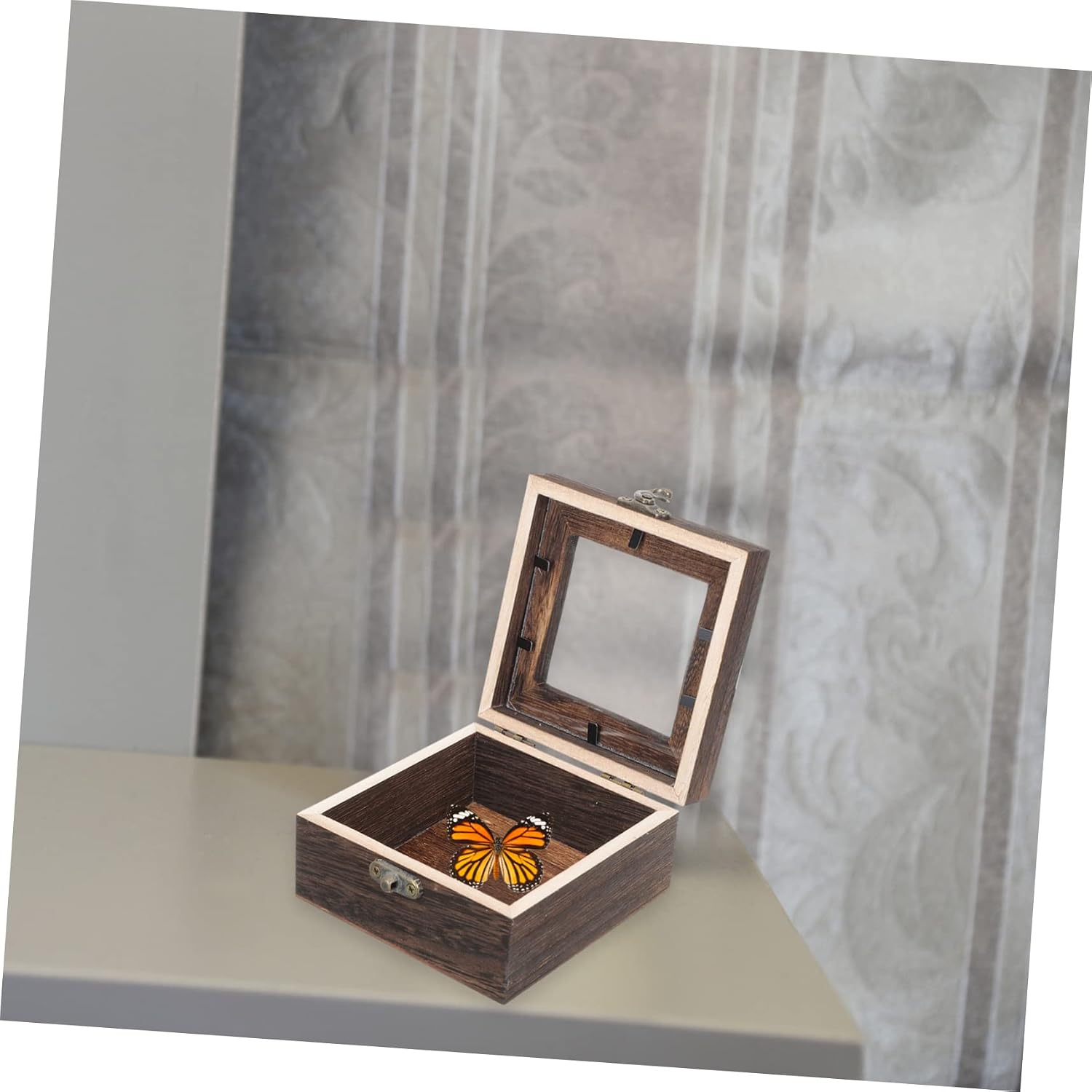 ORFOFE Wood Acrylic Insect Specimen Box Lid Shadowbox Display Case for Butterfly Bug Collection