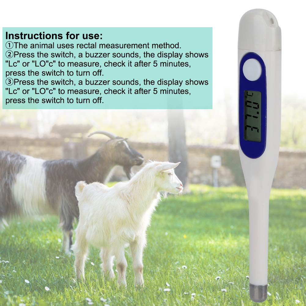 Thermomètre animal thermomètre électronique vétérinaire LCD numérique pour bovins moutons chevaux porcs chiens utilisation