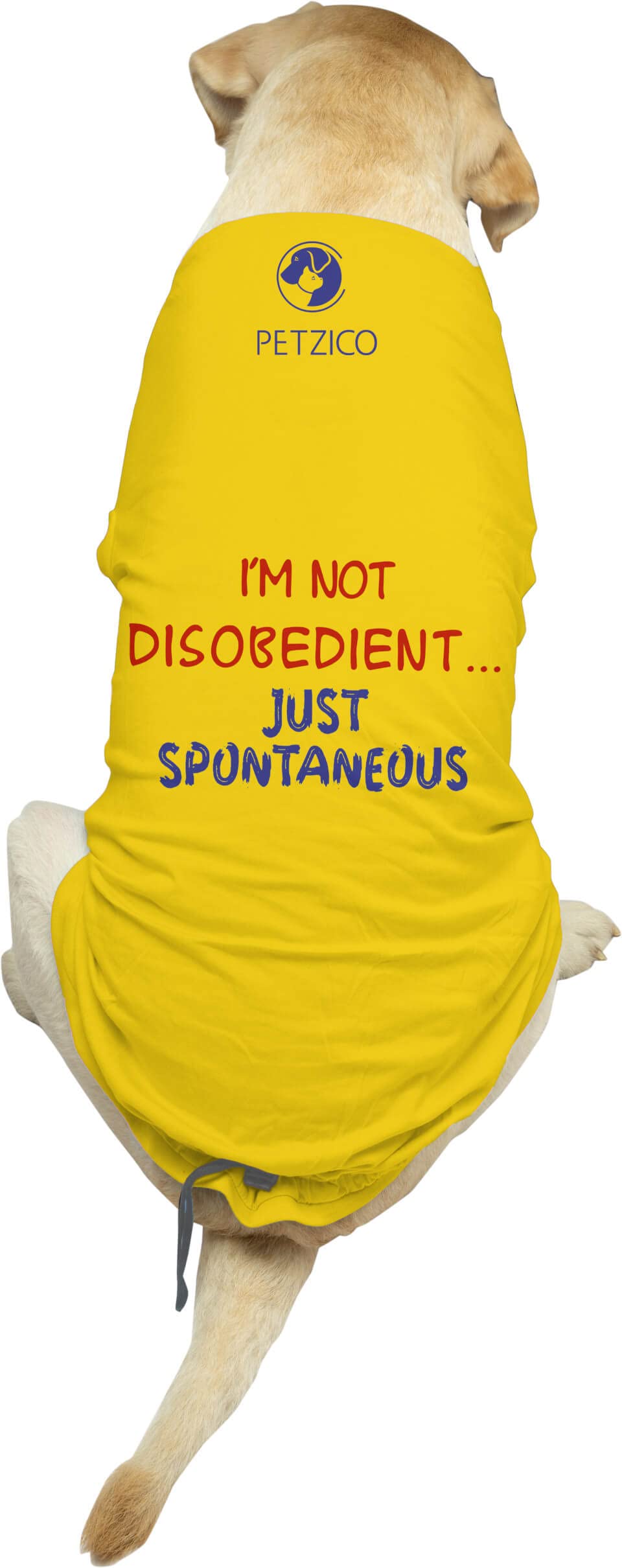 Personality Defining Dog T Shirts by PetZico for Small Dogs (Shih Tzu, Pomeranian, Pug Breed) Summer Dog Clothes Dogs Cotton T-Shirt Unisex (Male and Female pet Dogs) (B0BTXH5LL1) Amazon Price History, Amazon Price Tracker