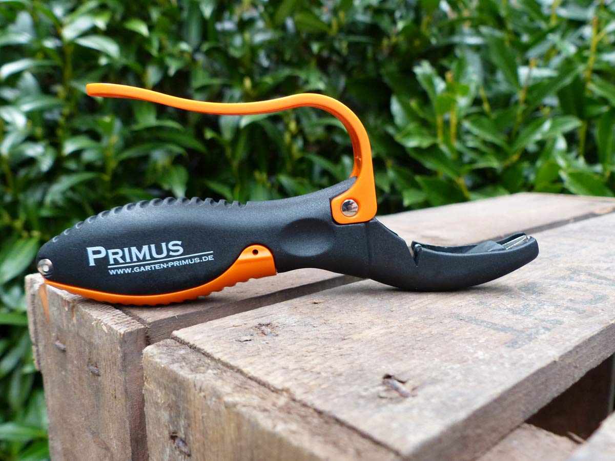 Garten Primus Multifunktions-Schleifer, schwarz/orange, 14,9 x 8,6 x 1,9 cm, 03000