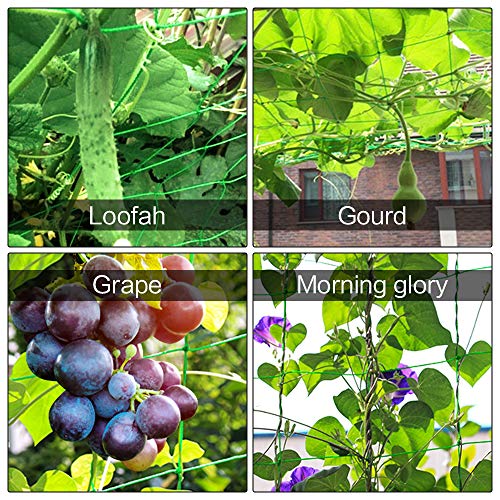 LuluDa 2 STKS Erwtennet voor Tuin Trellis Netting Plant Ondersteuning Tuin Netting Bean Ondersteuning Weerbestendig… - Image 6