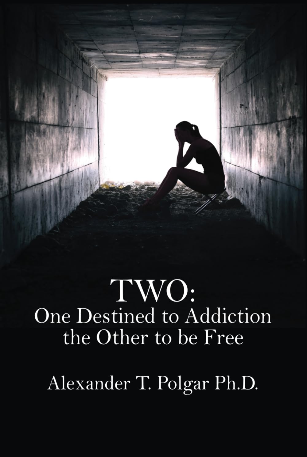 Two: One Destined to Addiction the Other to be Free (Freedom from Addiction Series, Band 1)