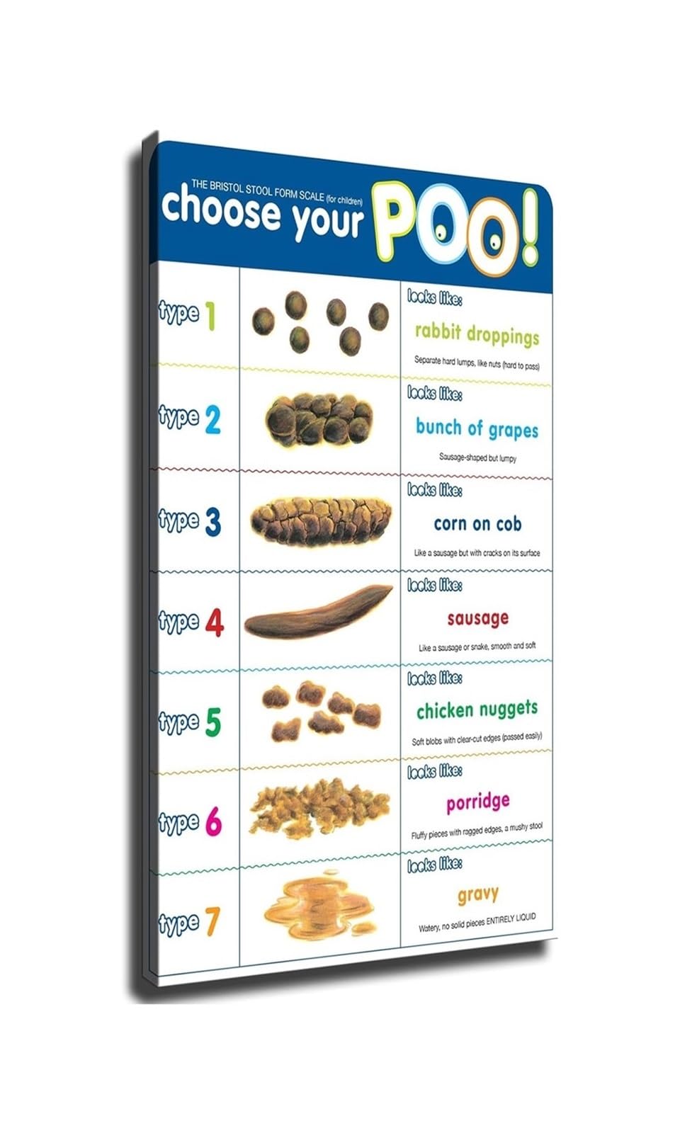 FNYUVNFAF Poop Chart Bristol Stool Scale Poster Stool Type Guide Digestive Health Wall-Art Decor For Doctor Clinic Home