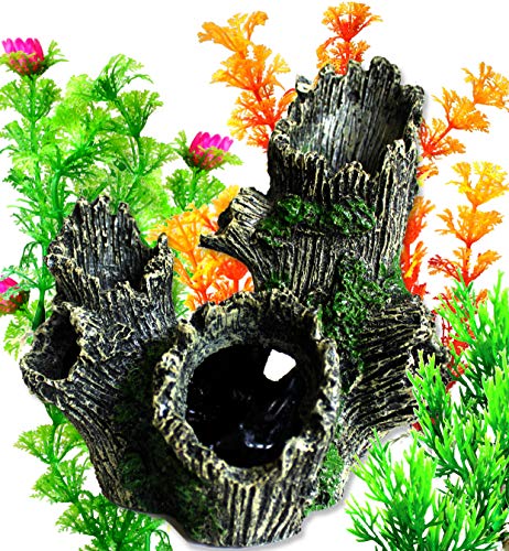 Open Fish Tank Decor | OrgMemory