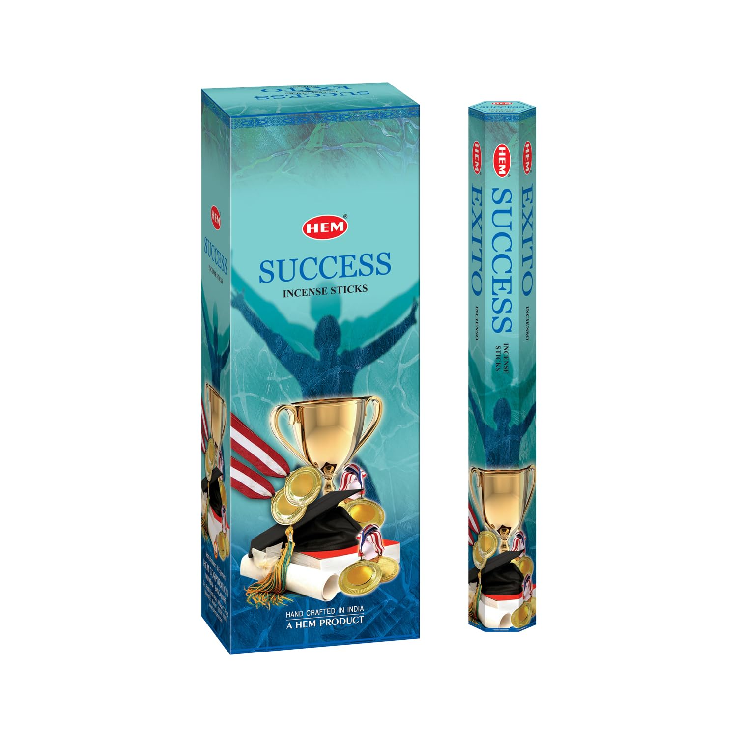 Hem Success Incense Sticks (120 Sticks, 6 Boxes Inside) - 9 Inches Long, 20g per Box - Promote Prosperity,Personal Endeavors and Uplift Energy.