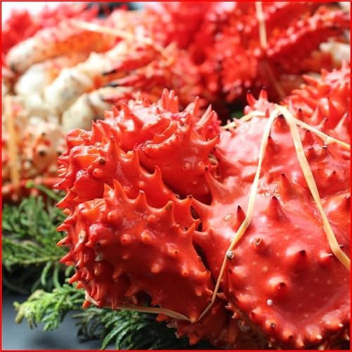 `hցI l䥂ŉԍKj z[pbN3`42.1kgl