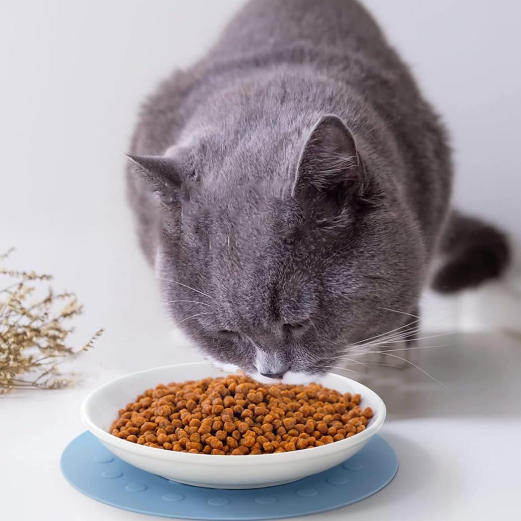 Ceramic Cat Food Dishes: Wide Shallow Bowls for Whisker Fatigue Relief, Non-Slip Mats for Cats and Kittens