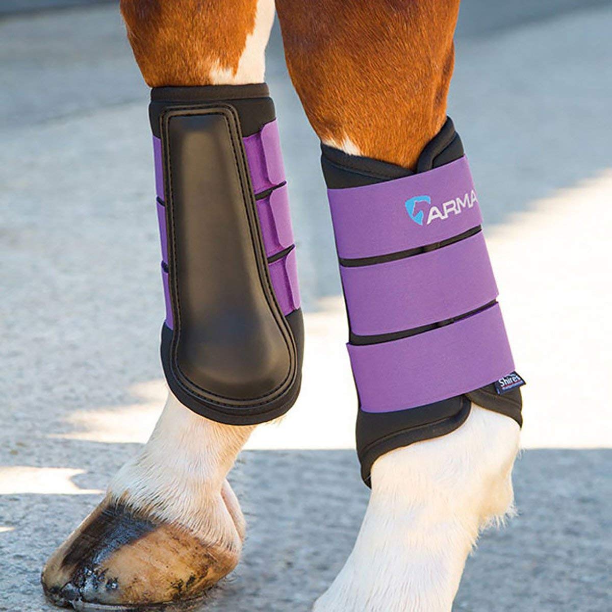 Shires Arma Neoprene Brushing Boots - Plum Cob