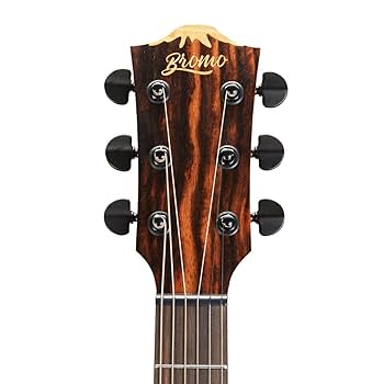 Amazon | Bromo BAT4MCE エレアコギター トップ単板 ギグバッグ