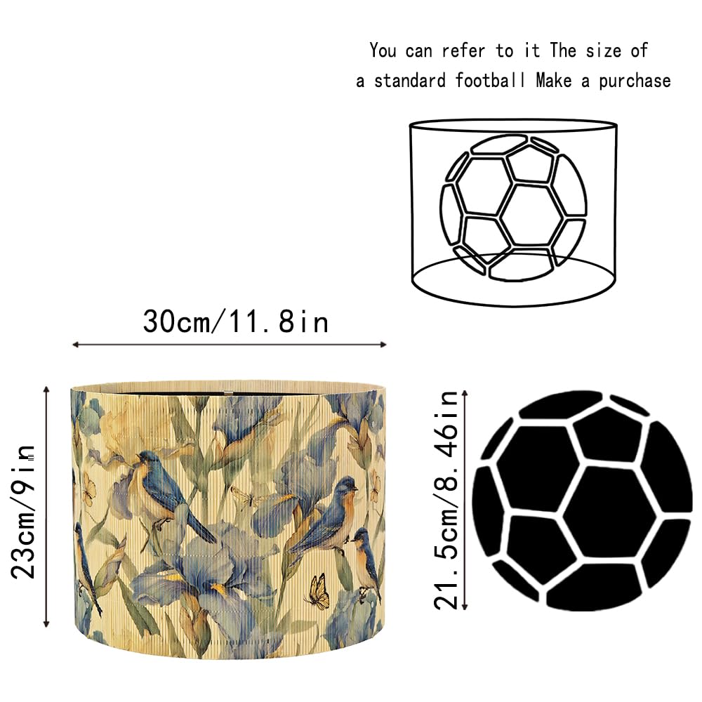 View 5