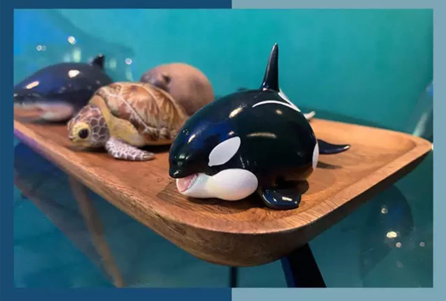 動物の惑星】☆ワニ&ワニガメ☆WF128体限定+上海水族館シャチ 