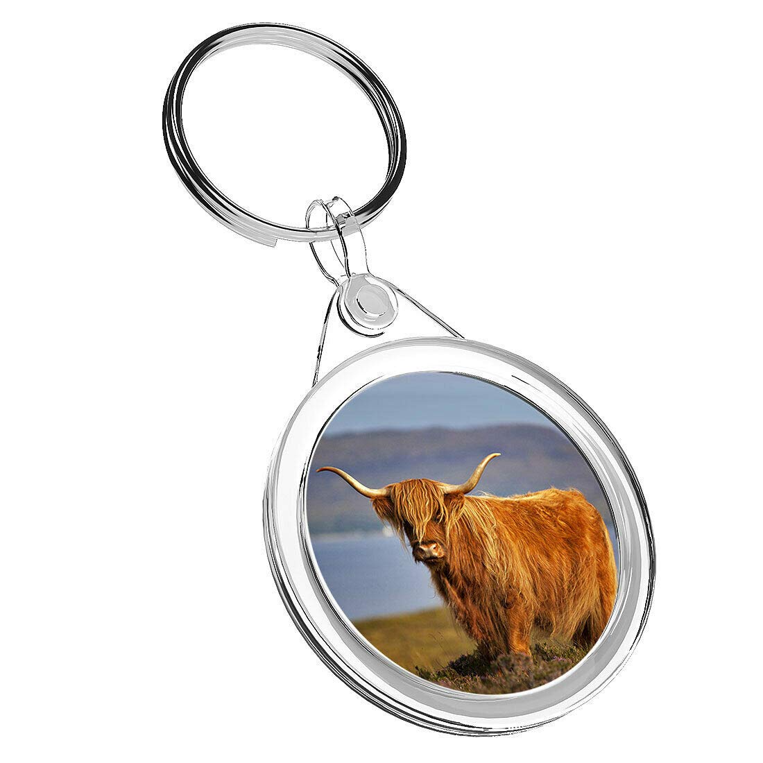 Destination Vinyl Keyrings Unisex Multi 1 X Highland Scottish Cow Cattle - Keyring Ir02 Mum Dad Birthday Fun #16327