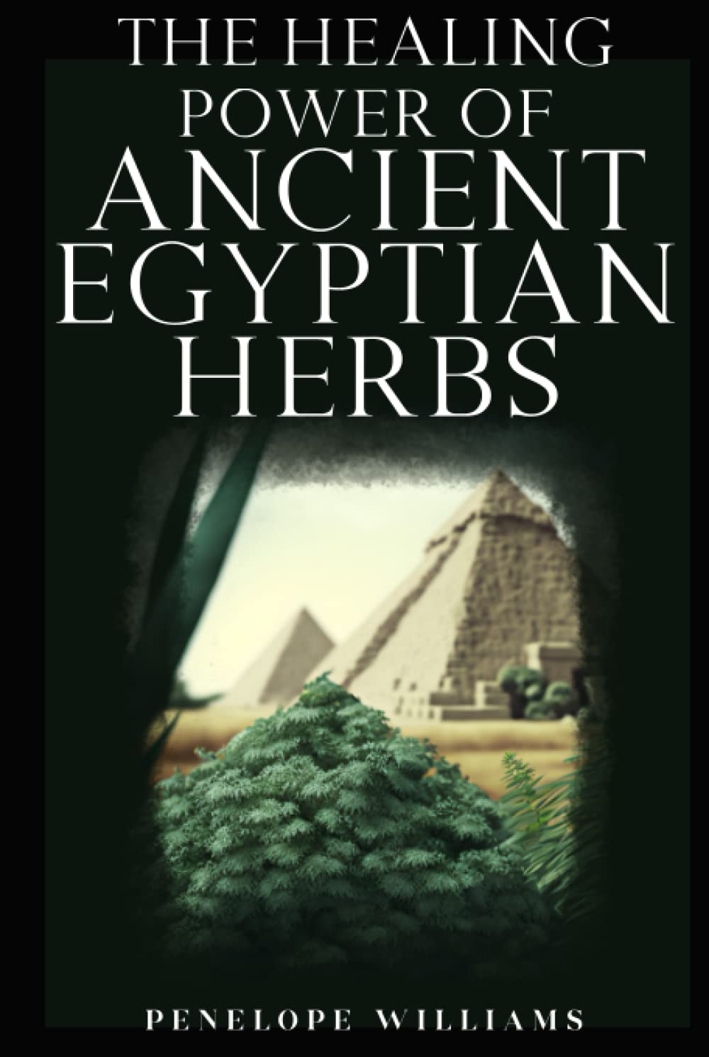 The Healing Power of Ancient Egyptian Herbs: A Practical Guide to Traditional Medicine and Modern Herb Applications
