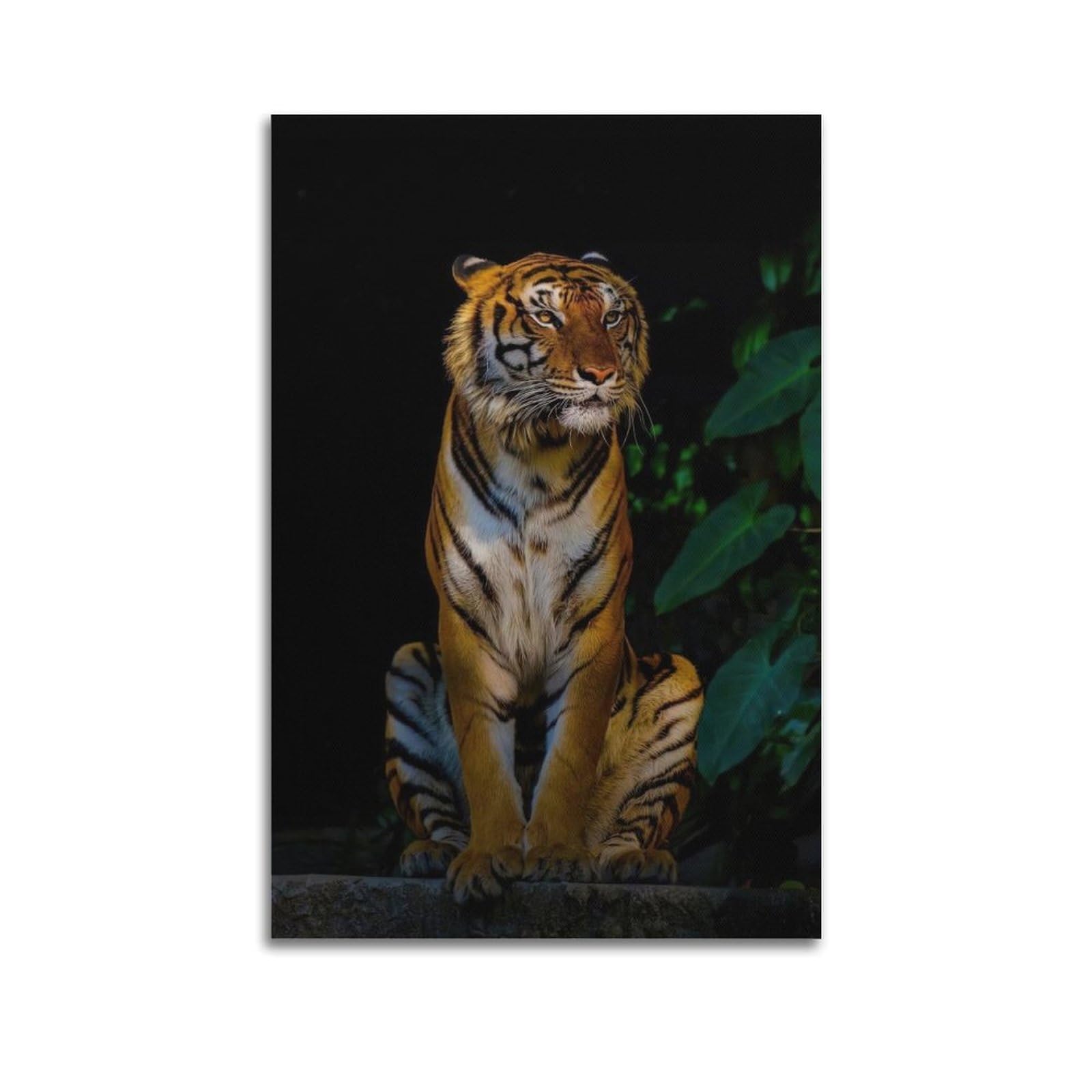 ZSZWHJ Wildlife Poster Sitting Bengal Tiger Poster Decorative Painting Canvas Wall Posters And Art Picture Print Modern Family Bedroom Decor Posters 24x36inch(60x90cm)
