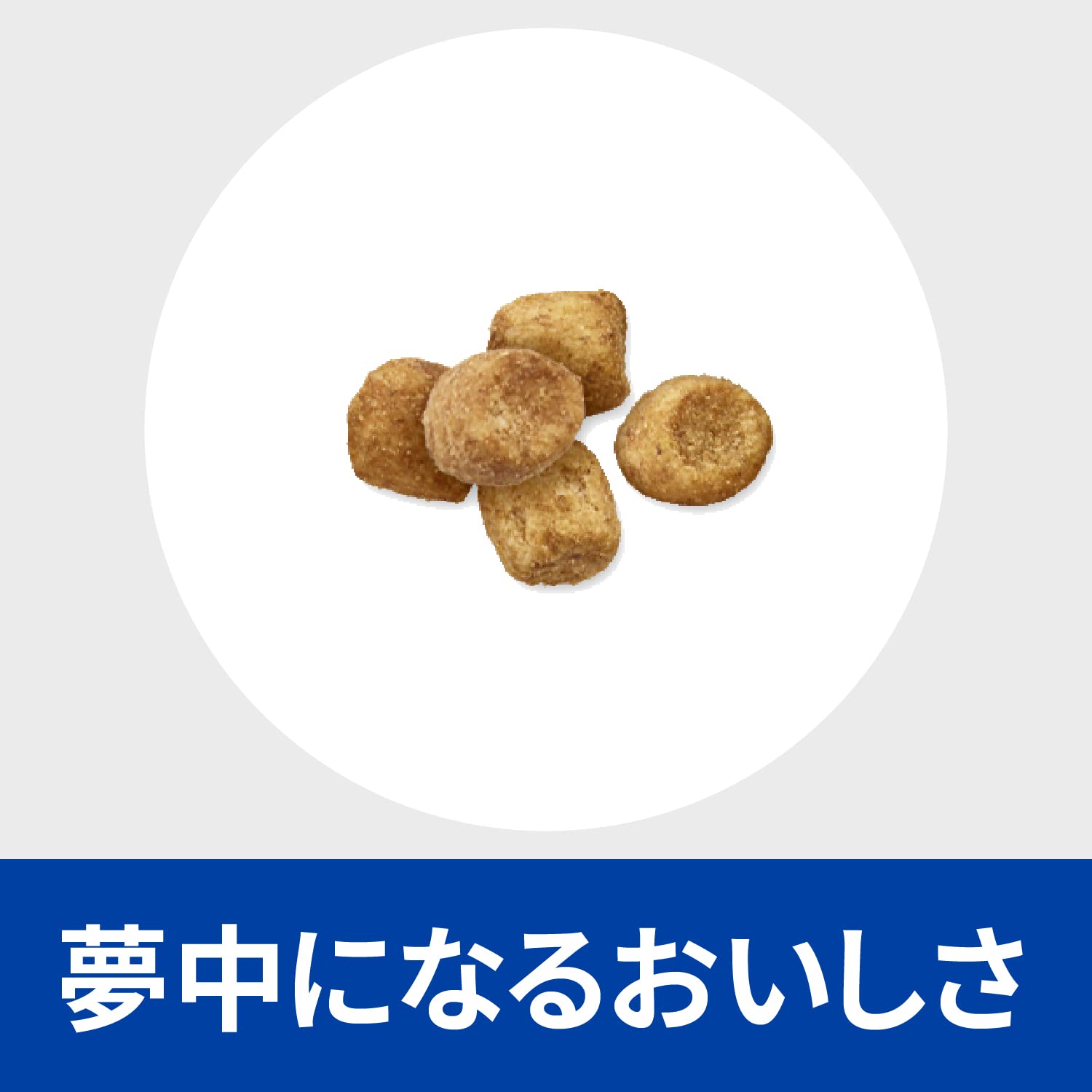 ヒルズ プリスクリプションダイエット キャットフード r/d アールディー