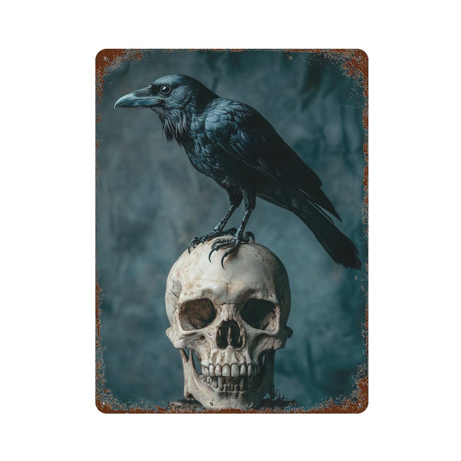 Vintage Metal Tin Sign with Raven on Human Skull Design 15.7"x11.8", for Patio, Garden Room And Bar Decor, Novelty Wall Decor
