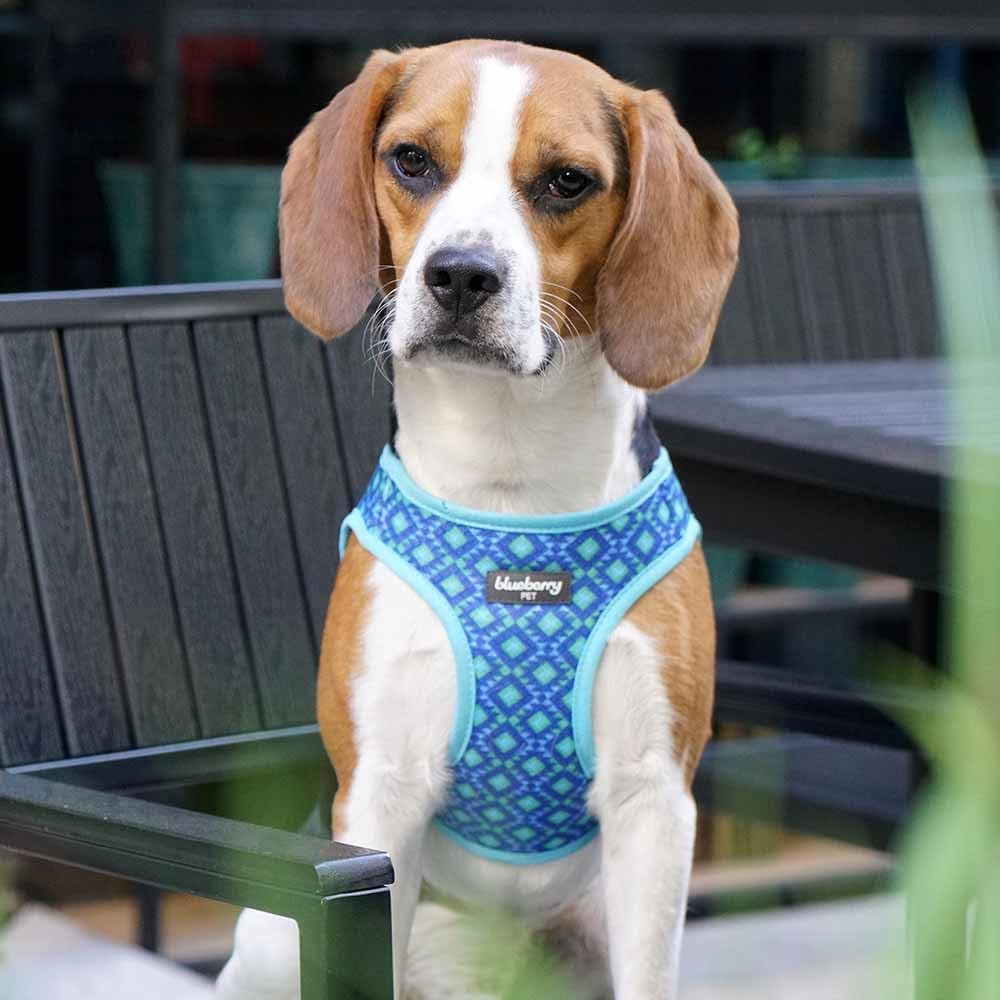 Blueberry Pet Southwestern Tribal Lozenges Navy Blue Dog Harness Vest, S, Adjustable Harnesses for Small Dogs