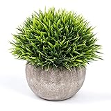 Vangold Lifelike Artificial Plants Plastic Grass Plants with Pots for Home/Office Decor (Green-1pcs)