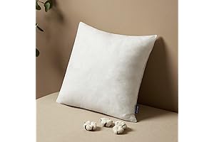MIULEE 14 x 14 Pillow Insert: Perfect Fluff for Your Decor