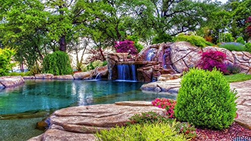 Miniatura 8 de Tate's Acondicionador Natural Miracle - 18 fl oz con mini acondicionador gratis de 5 fl oz