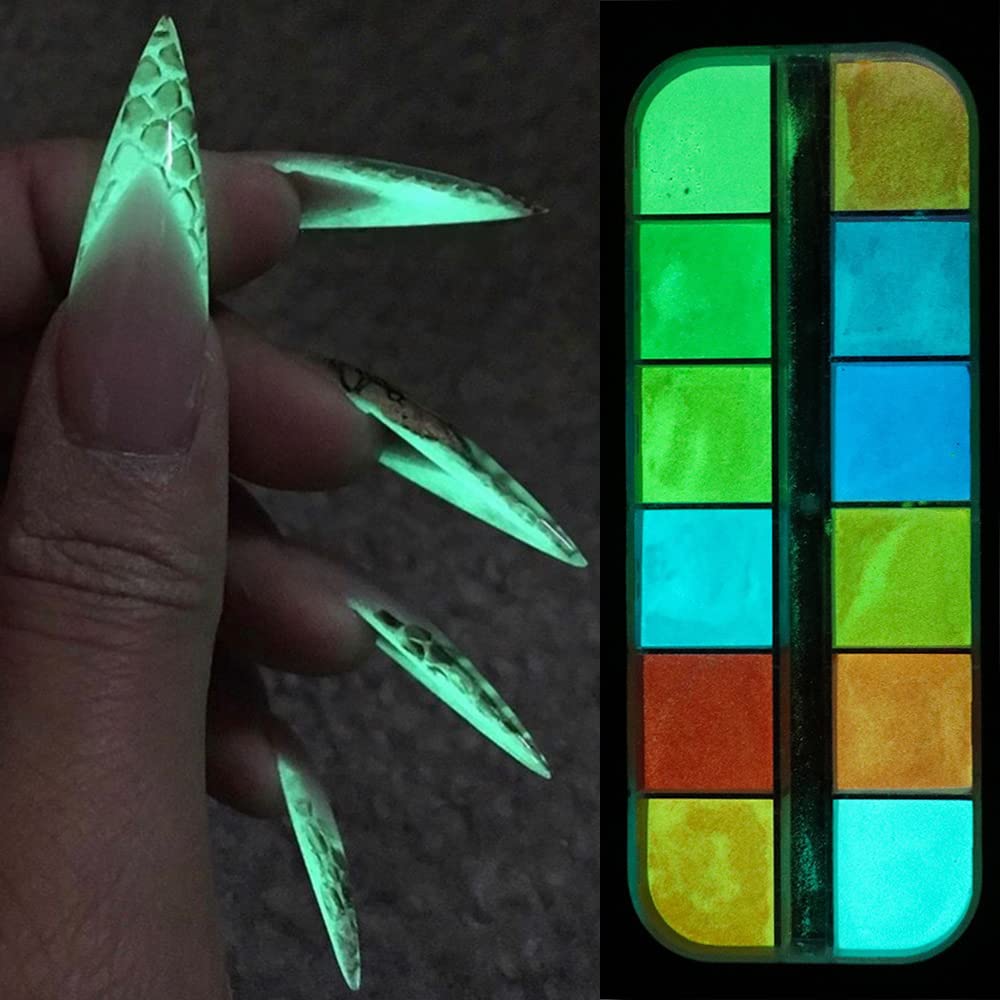 S.A.V.I 12 Grids Nail Glitter Powder Box, Nail Glow in the Dark, Luminous Nail Art Decoration, DIY Manicure Design Accessories Nail Art Kit for Women Girls-image-14